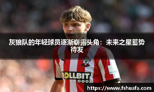 灰狼队的年轻球员逐渐崭露头角：未来之星蓄势待发